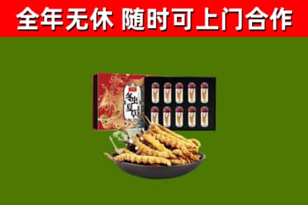 黔南市回收冬虫夏草价格